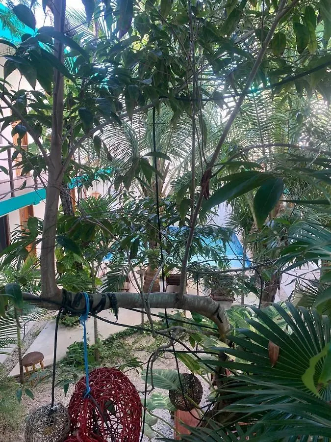 Los Arcos Hotel - Tulum