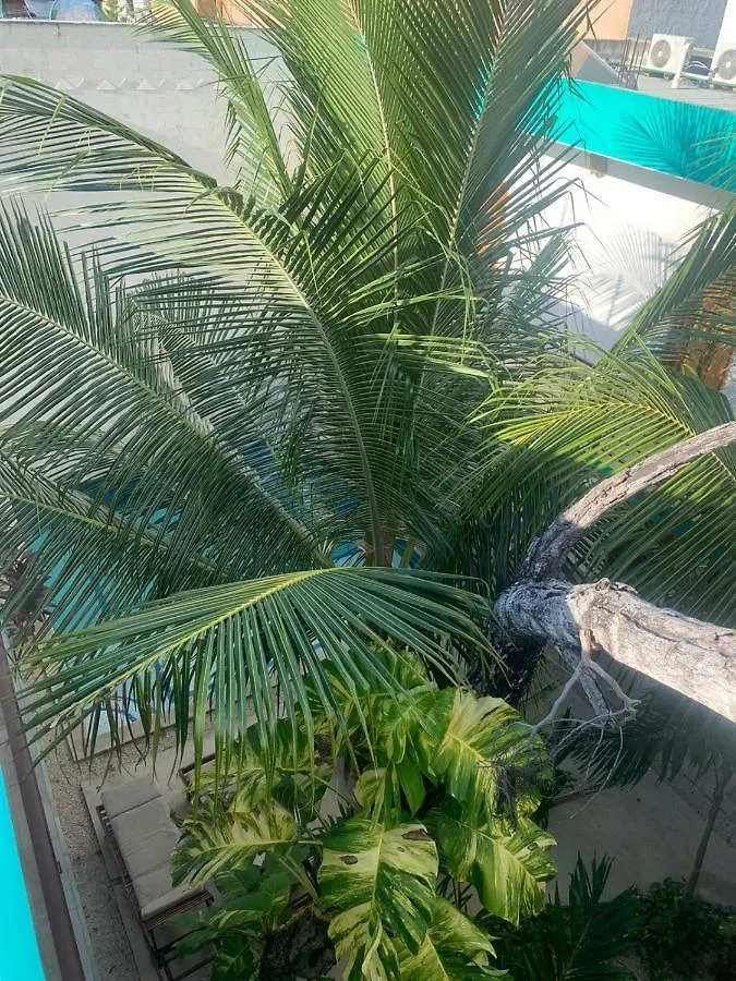 *****  Los Arcos Hotel - Tulum Mexico
